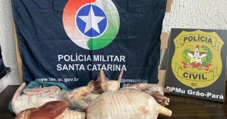 Homem é preso com munições e carcaças de animais silvestres em freezer