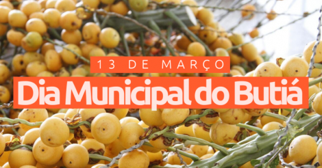 Imbituba celebra o Dia Municipal do Butiá: Símbolo de cultura, sustentabilidade e economia