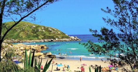 Invasão argentina movimenta praias de Laguna e Imbituba
