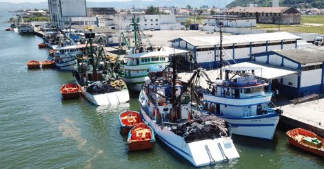 LAGUNA / Terminal pesqueiro será administrado pelo Porto de IMBITUBA