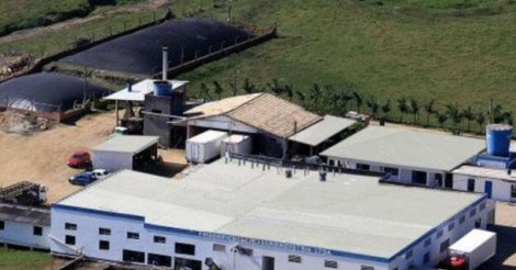 Lote de linguiça produzido na região é recolhido após detecção de salmonela