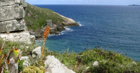 “Maternidade das baleias” / Área de preservação em Imbituba é a mais visitada do Brasil /  diz ICMBio