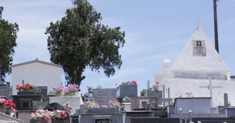 ‘Mercadores da Morte’: TCE vê indícios de formação de cartel em funerárias de Florianópolis