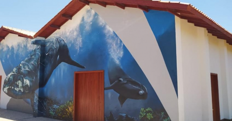 Museu da Baleia de Imbituba retoma horário padrão de funcionamento a partir da próxima semana