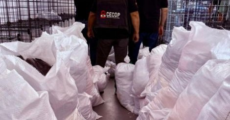 Operação apreende 50 mil peças falsificadas avaliadas em R$ 1,5 milhão