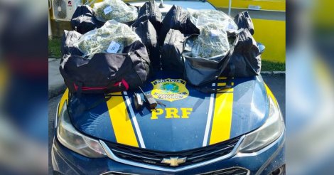 Paulo Lopes / Cheiro de droga entrega motorista, e PRF apreende 24 kg de “supermaconha” na BR-101 no município
