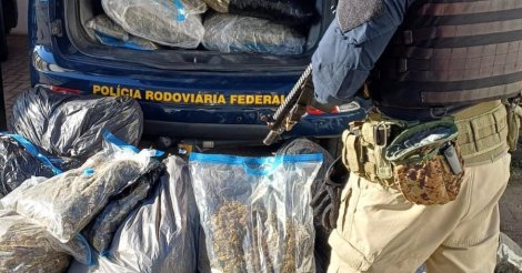 Paulo Lopes / Polícia apreende 86 kg de skunk e prende dois homens em flagrante no município