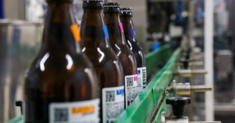 Santa Catarina abre 25 novas cervejarias e lidera ranking nacional