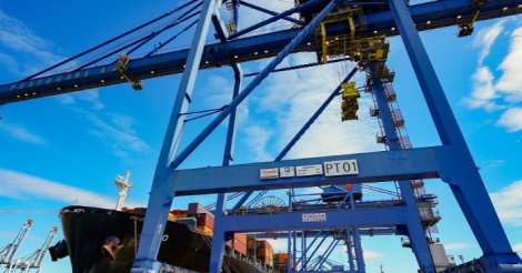 Santa Catarina é líder nacional em exportação de madeira e móveis