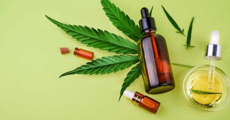 SC tem nova lei que aumenta acesso a medicamentos à base de cannabis pelo SUS