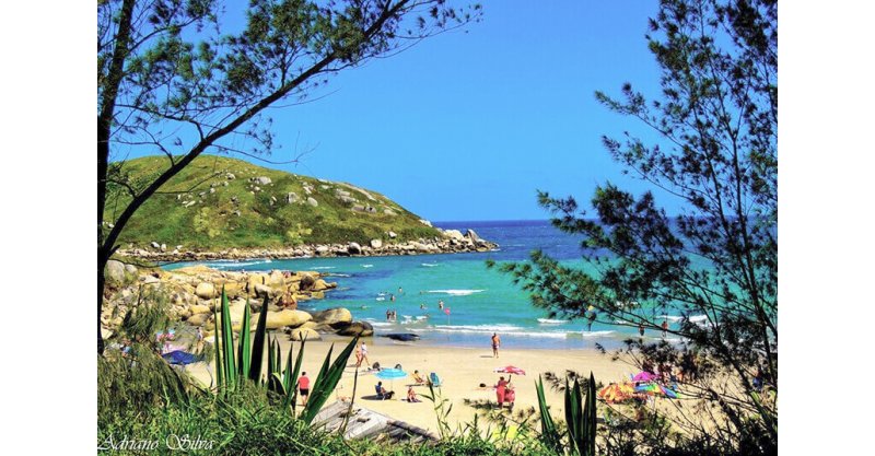Vai à praia no feriado? SC tem quase 200 pontos com balneabilidade própria para banho