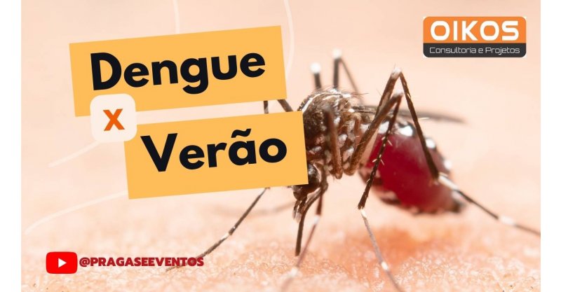 Verão chegando, Denque . moscas também: dicas para proteger sua casa e garantir a tranquilidade